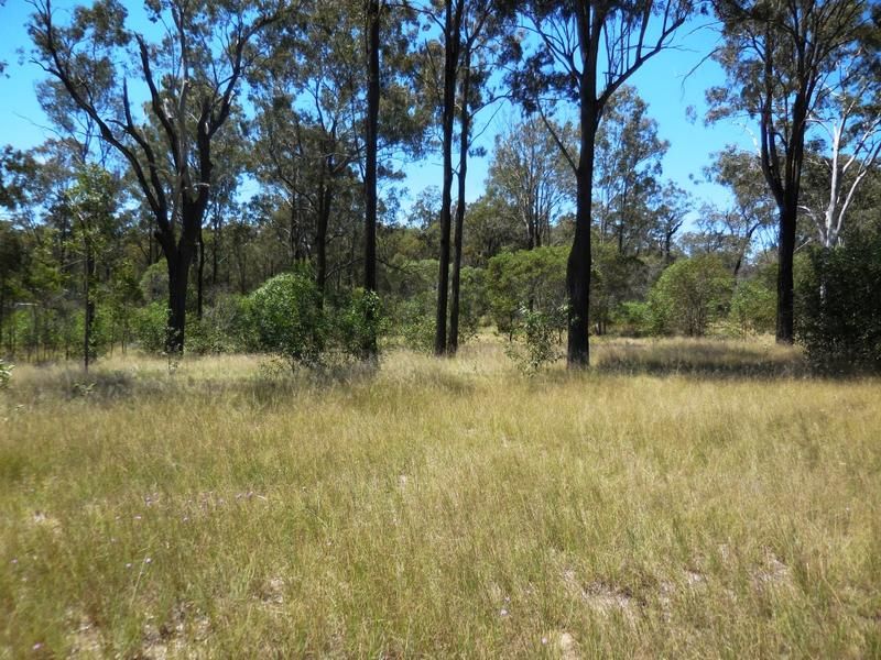 Lot 107 McNicholl Road, Wattle Camp QLD 4615, Image 2