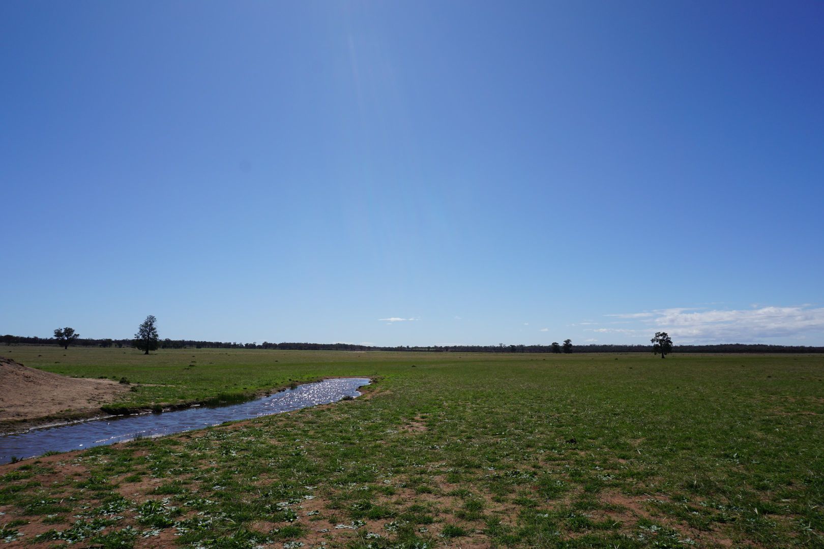 'Dundee' 603 Charcoal Tank Road, West Wyalong NSW 2671, Image 2