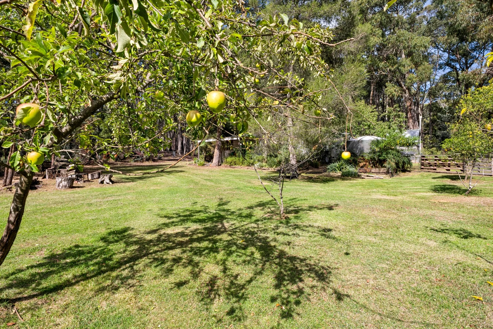 Image 14