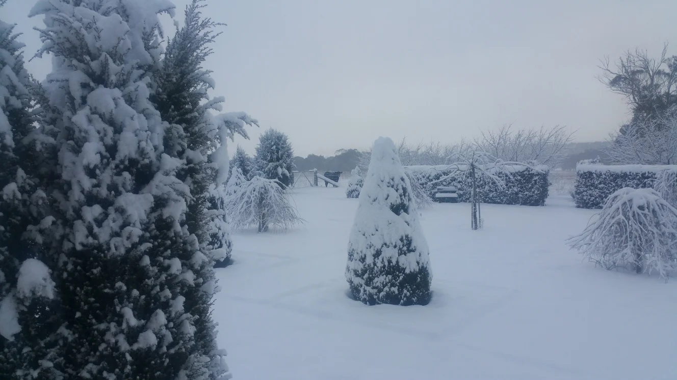 Additional image 29 of 383 Mozart Road, Mozart NSW 2787