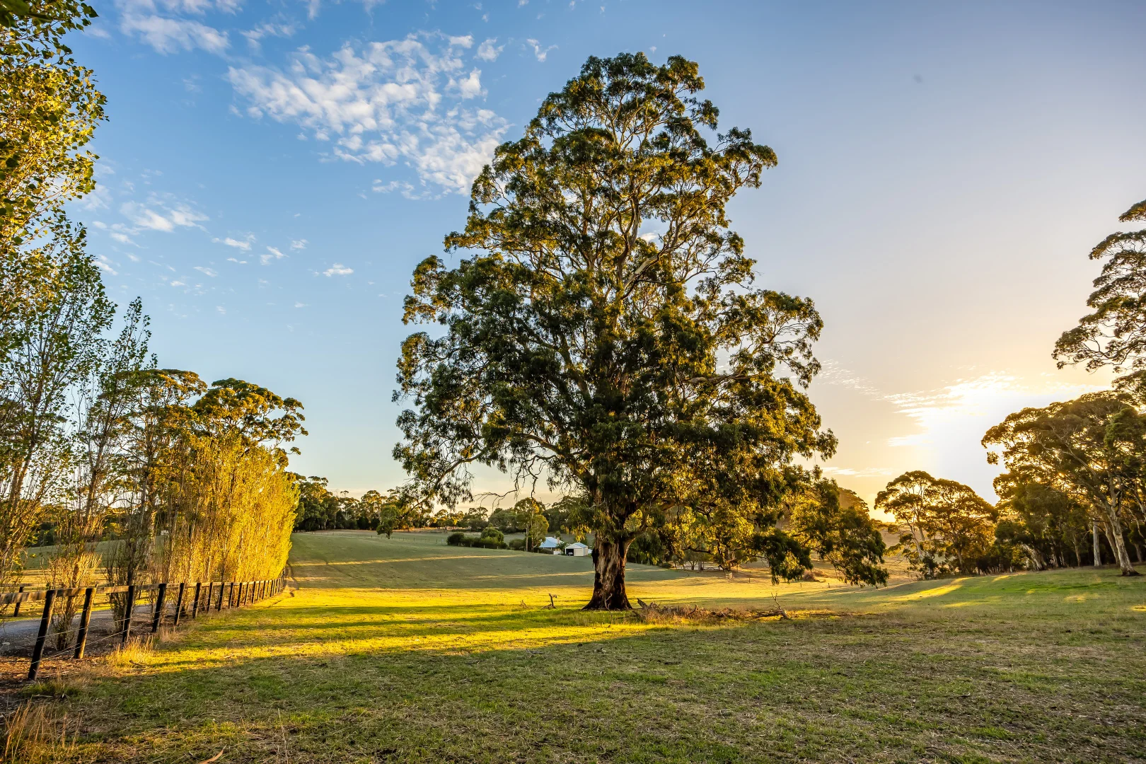 Additional image 37 of 444 Hawthorn Road, Echunga SA 5153