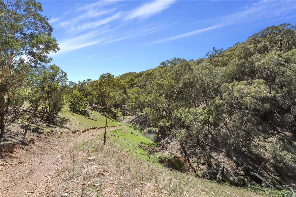 Additional image 13 of Part 1169 Grahamstown Road, Adelong NSW 2729