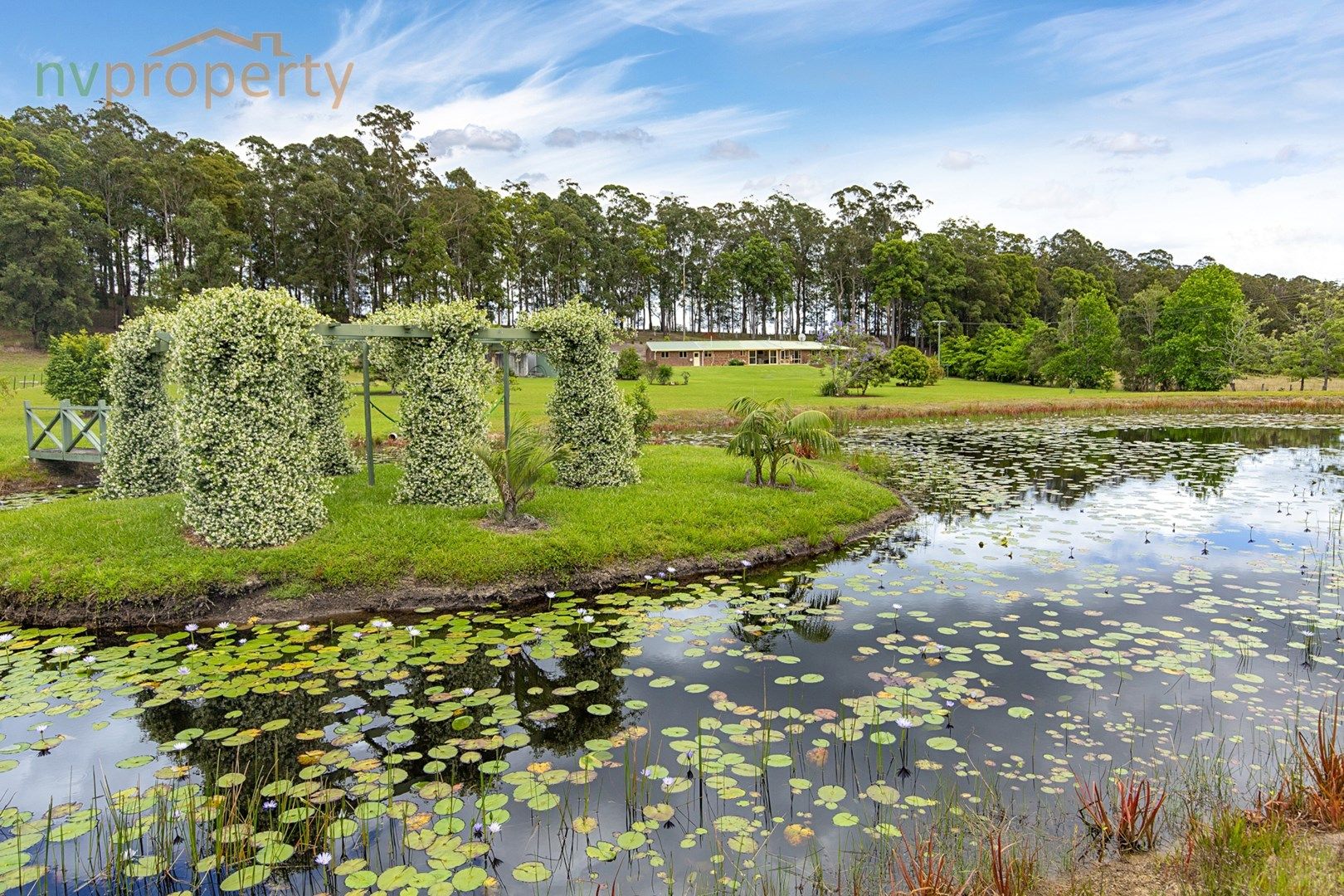 149 Congarinni Road South, Congarinni NSW 2447, Image 0