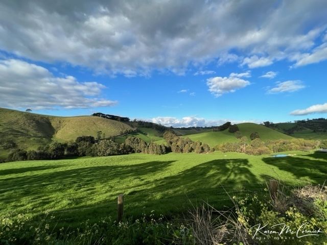 408 Territory Road, Strzelecki VIC 3950, Image 1