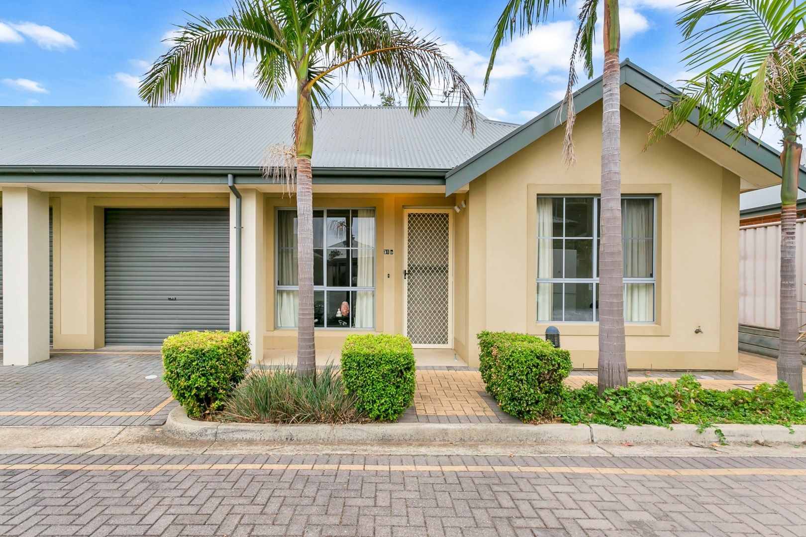 31D Bricknell Street, Magill SA 5072, Image 0