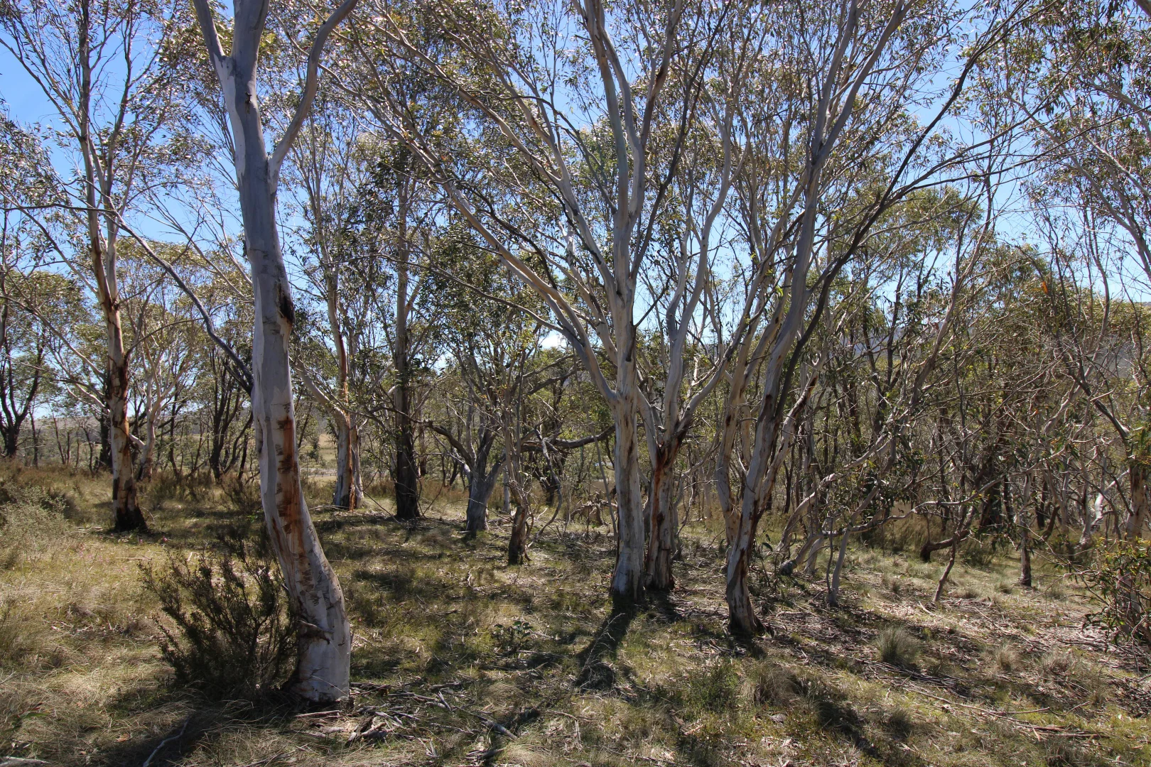 Image 12
