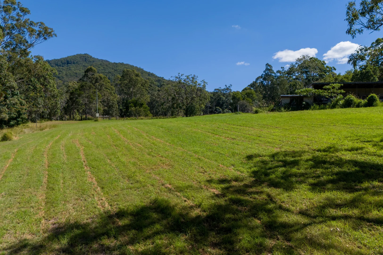 Image 13