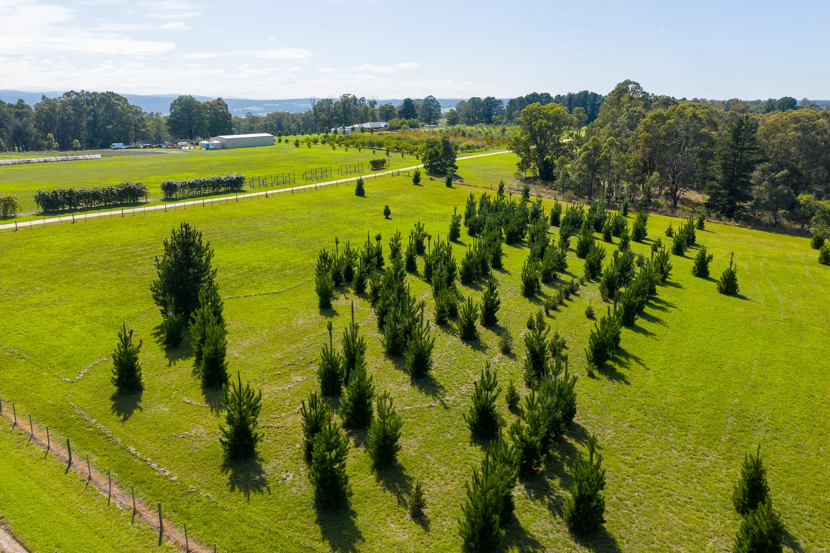 Additional image 3 of 185 McNamaras Road, Sarsfield VIC 3875