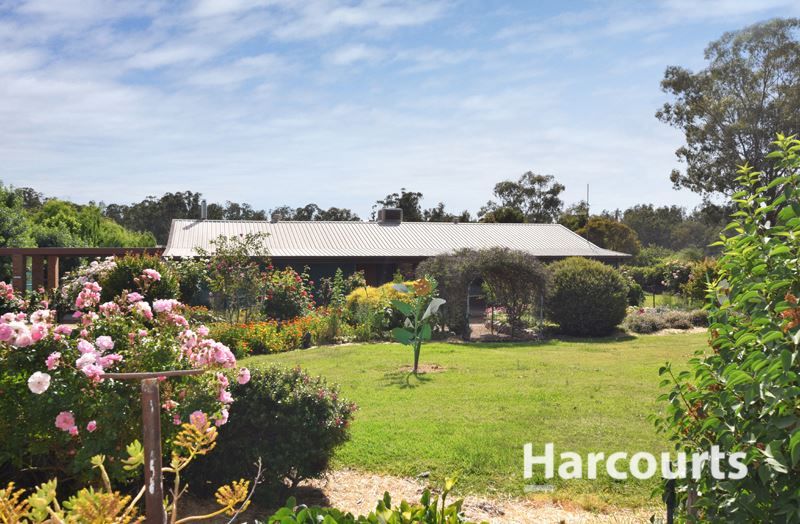 2144 Wangaratta-Yarrawonga Road, Peechelba VIC 3678, Image 0