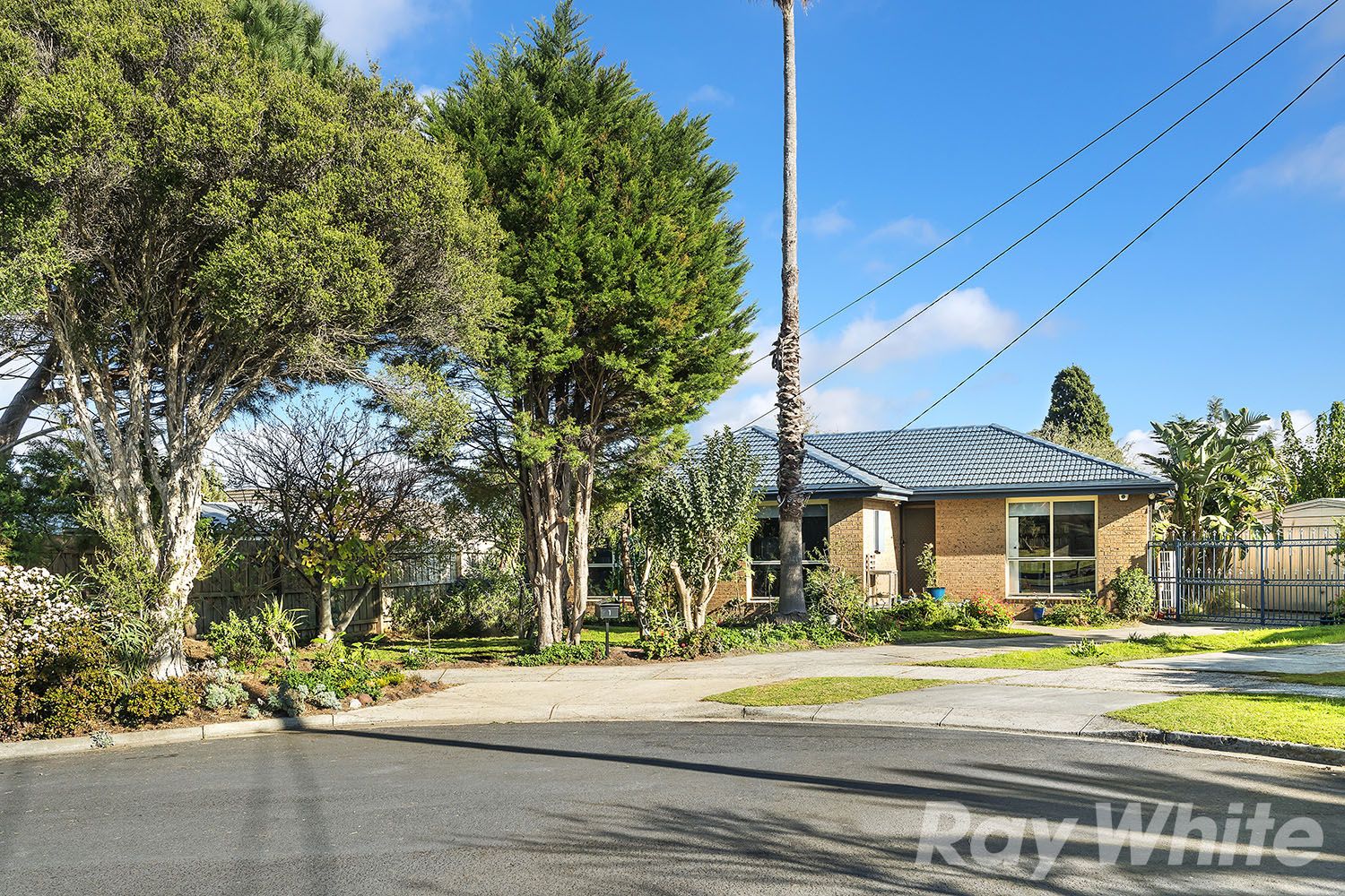 1 Larado Place, Clayton South VIC 3169, Image 0