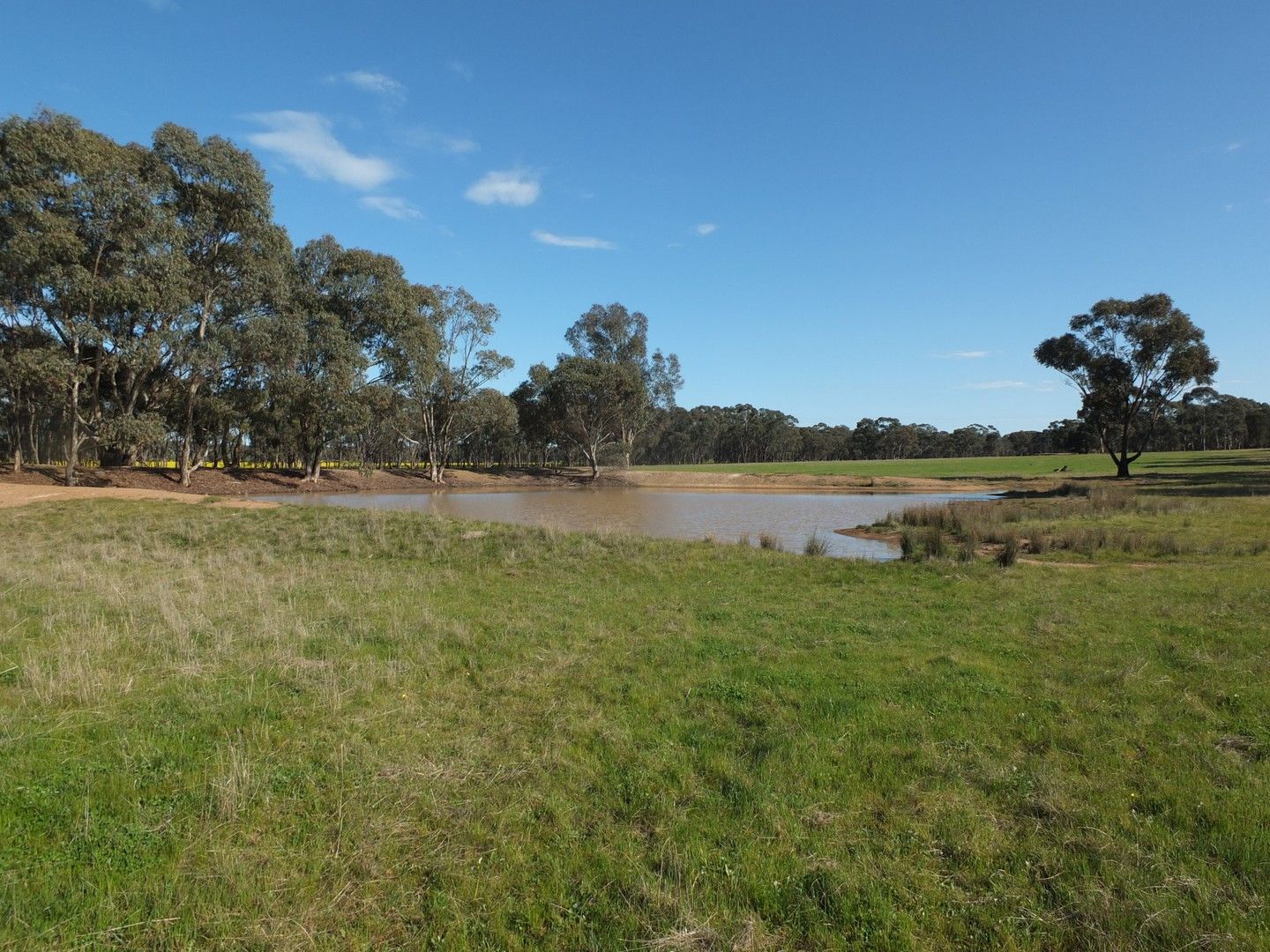 1 & 158 Apple Jack Road, Dunolly VIC 3472, Image 0
