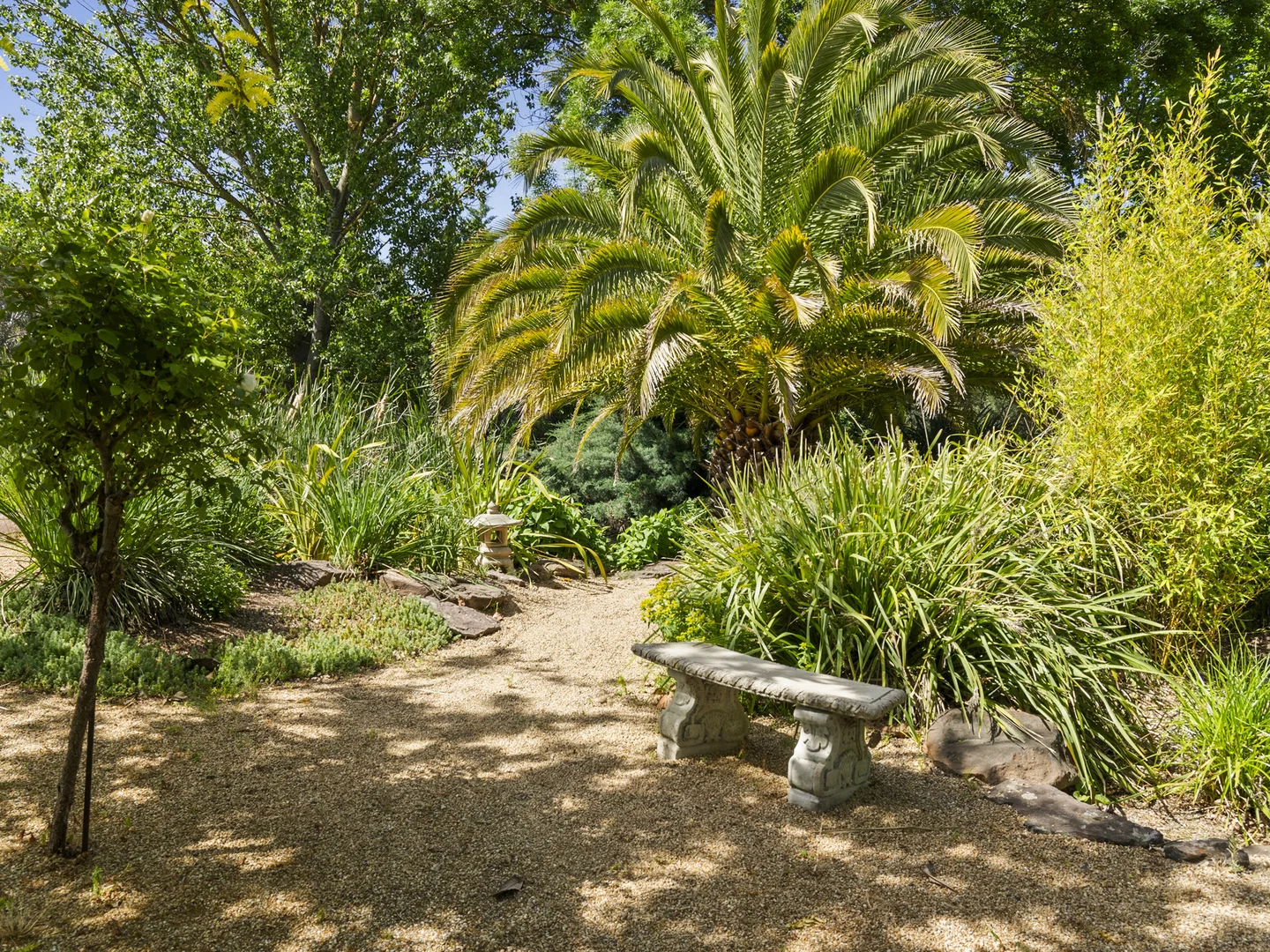 Image 25