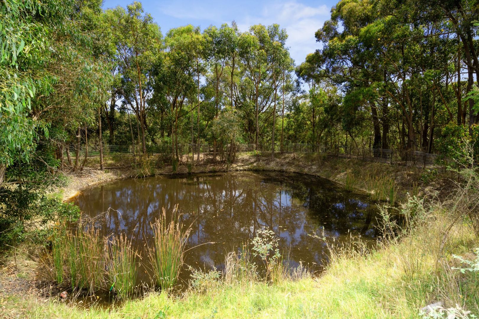 154 Shuter Avenue, Greendale VIC 3341, Image 1