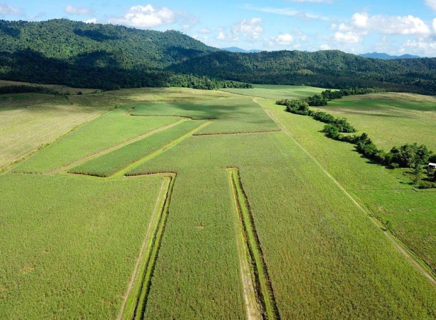 Cane Farms, Innisfail QLD 4860 House for Sale Domain