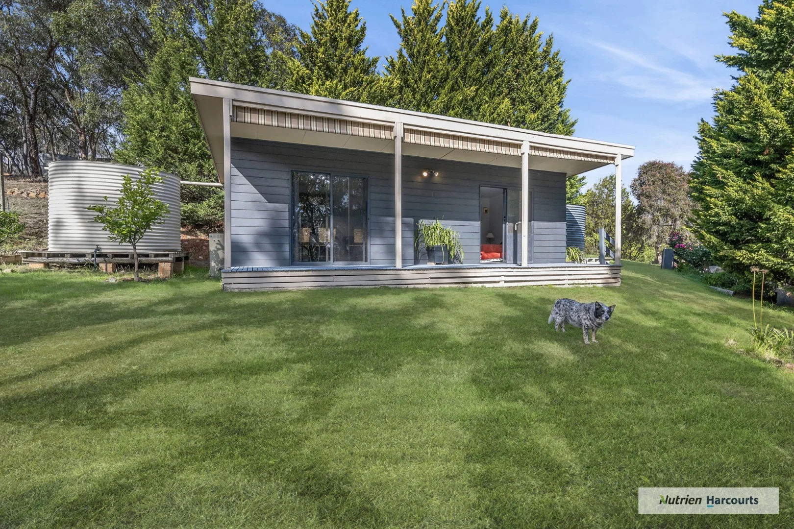 Additional image 11 of 310 Dockerys Road, Tallarook VIC 3659