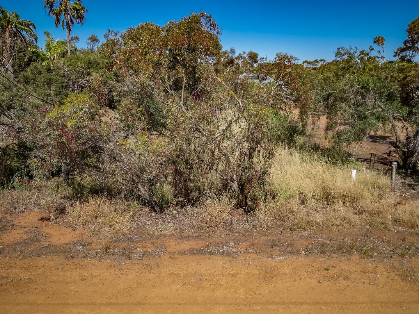 Lot 39/62 Lauder Street, Nanson WA 6532, Image 2