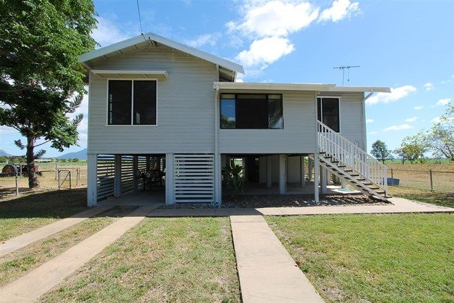 Picture of 628 Shirbourne Road, GIRU QLD 4809
