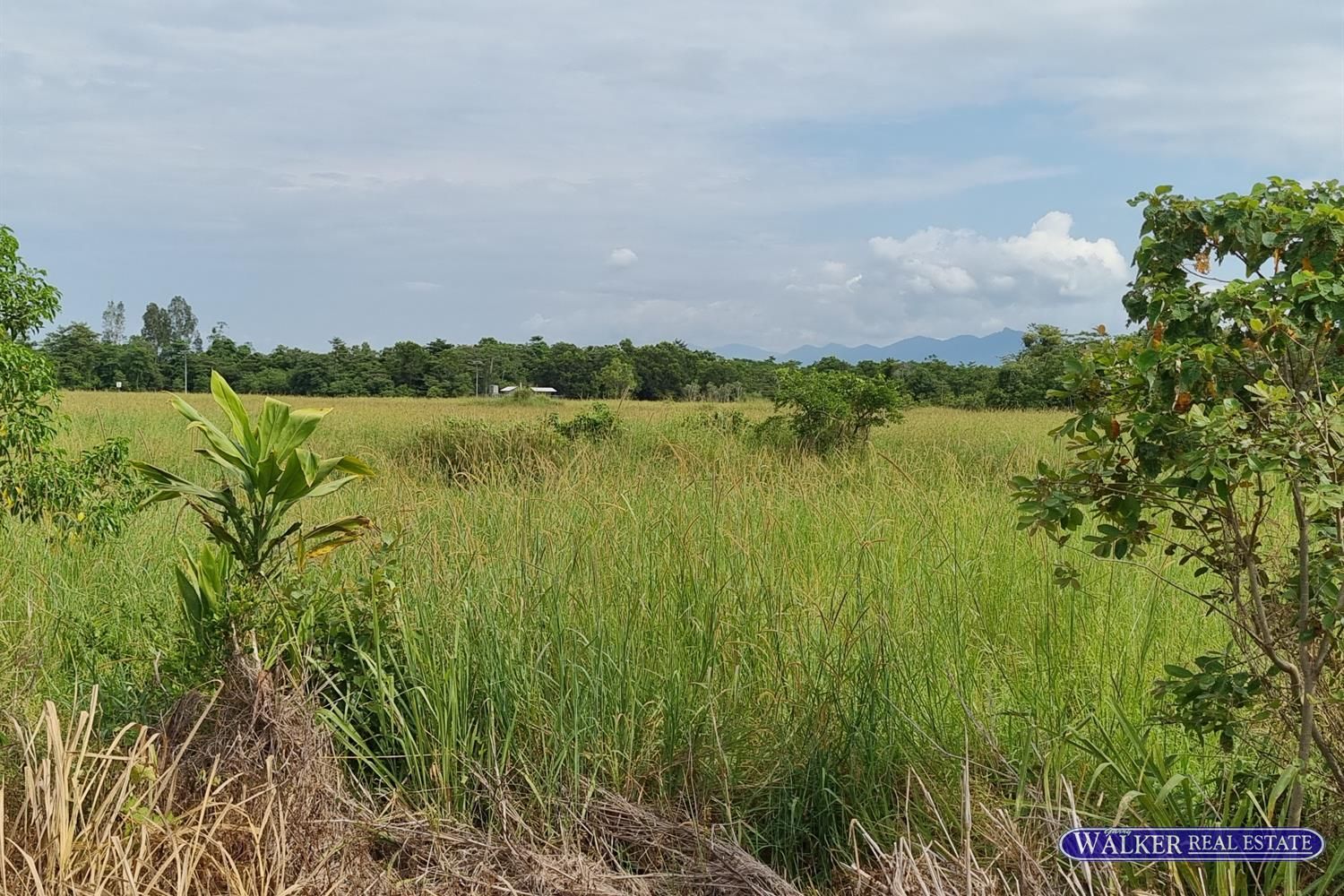 SP 231075 Bruce Highway, Murrigal QLD 4854, Image 2