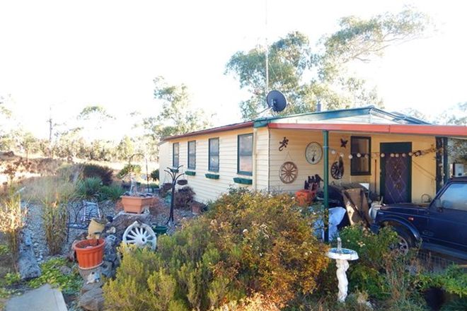 Picture of 783 Mittagang Rd, COOMA NSW 2630