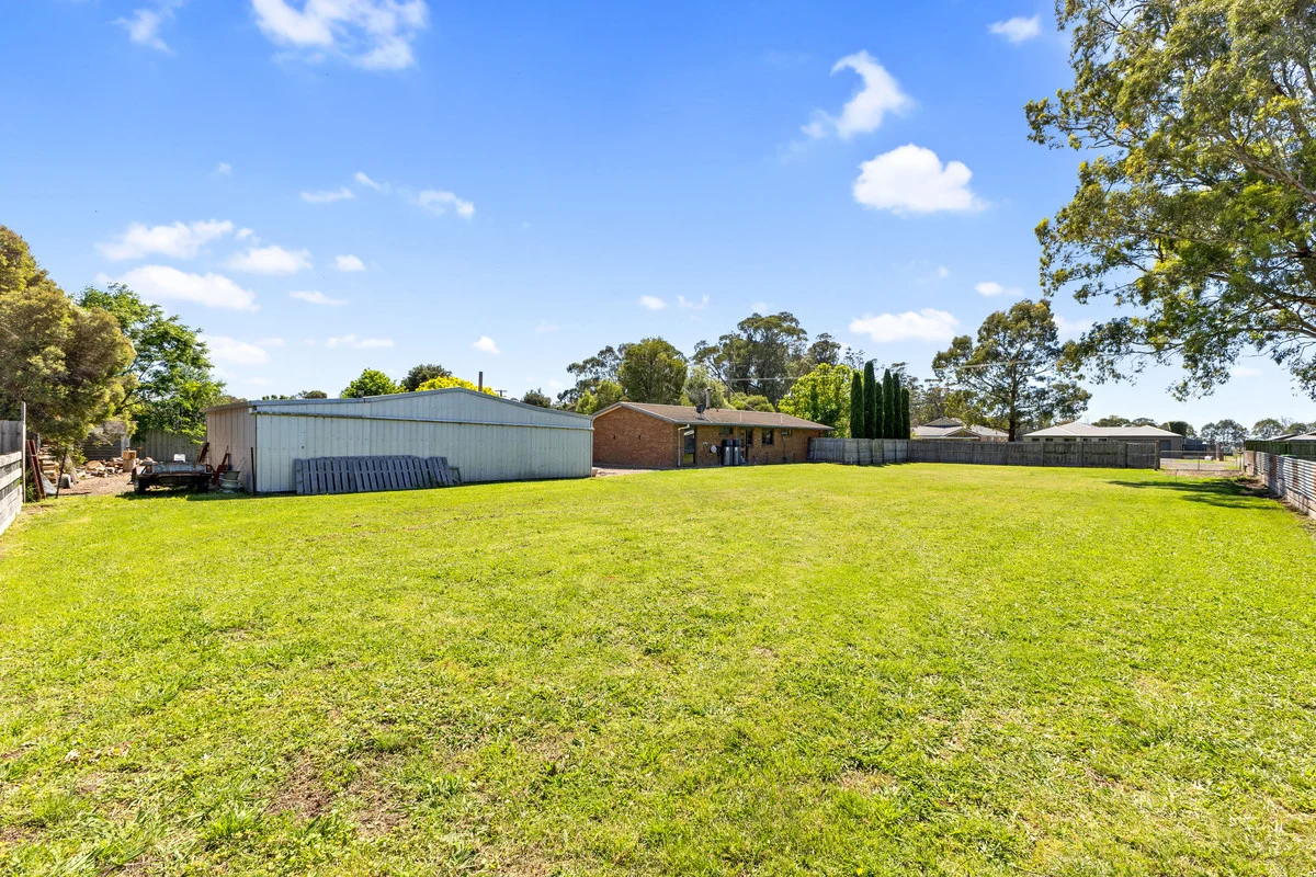 Image 20