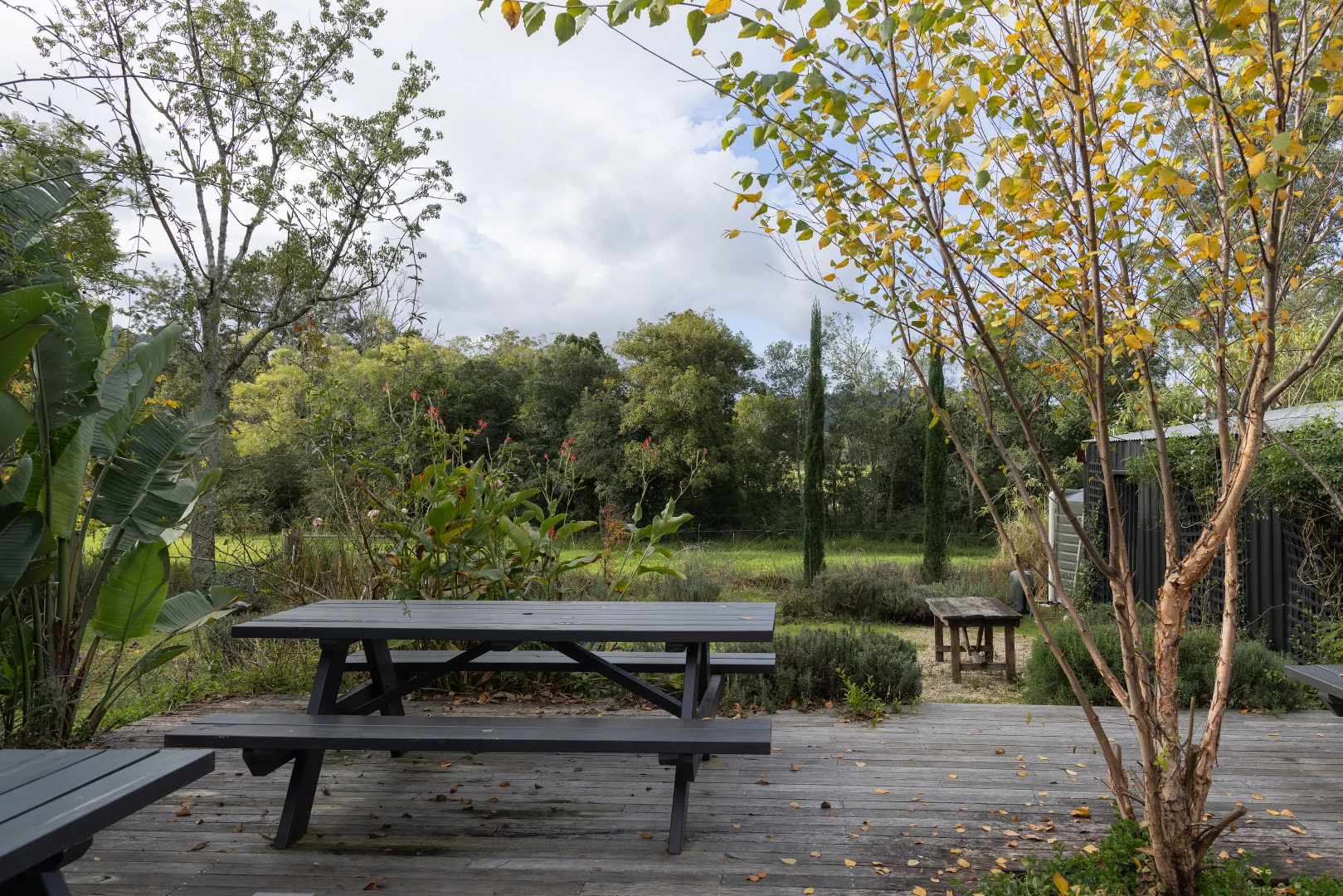 Image 32