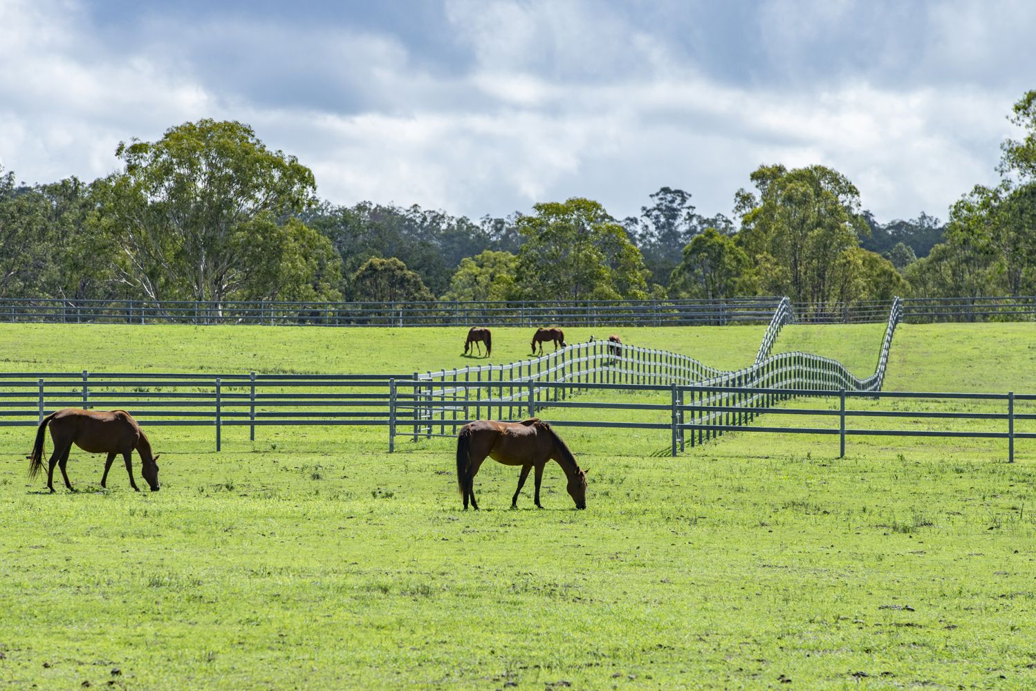 428 Tamrookum Creek Road, Tamrookum Creek QLD 4285