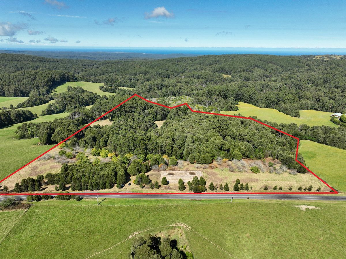 4195 ColacLavers Hill Road, Weeaproinah VIC 3237 House for Sale