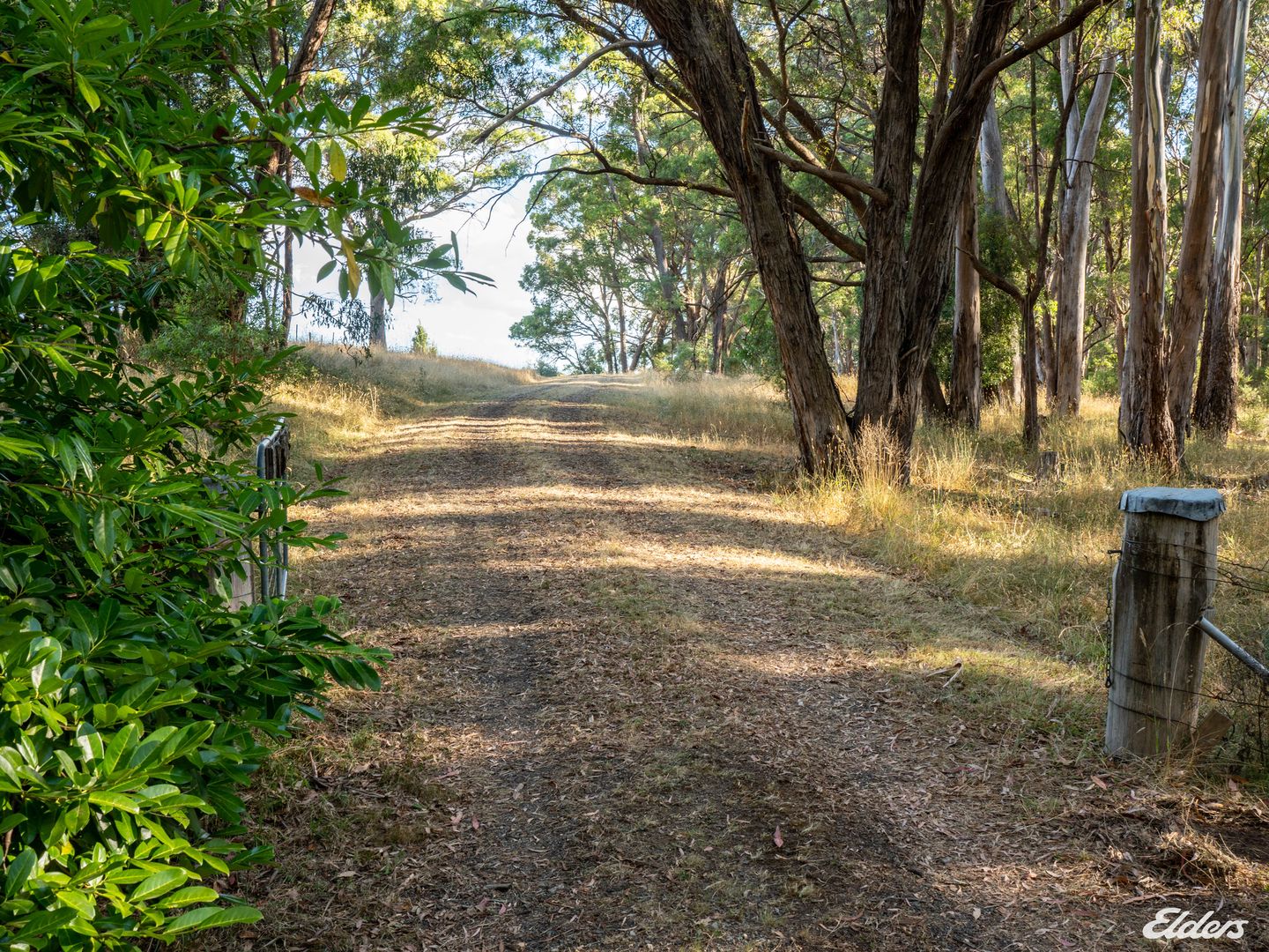 1024 Tames Road, Strathbogie VIC 3666, Image 1