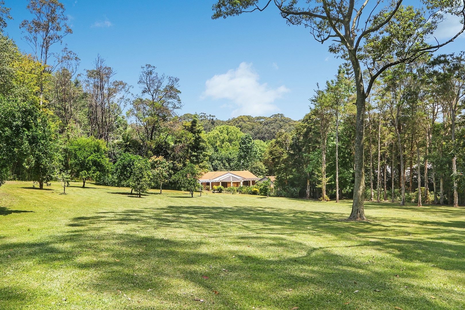 58 Erina Valley Road, Erina NSW 2250, Image 0