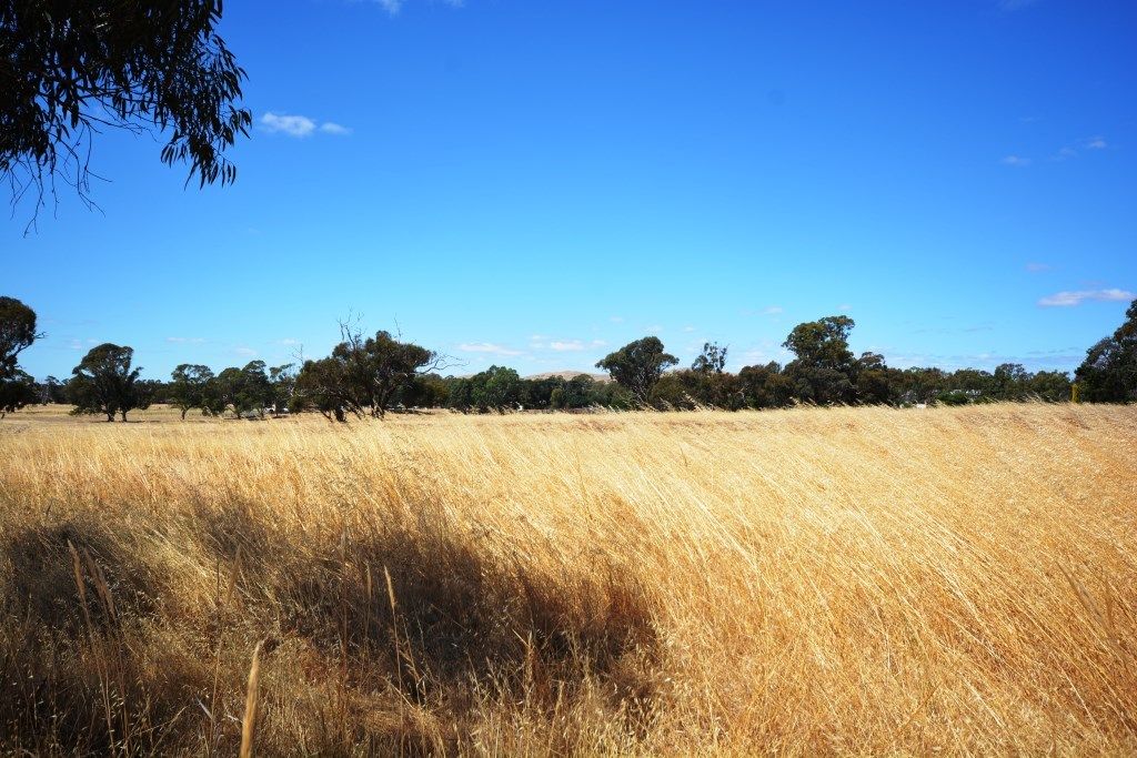 Corner Landsborough & School Road, Concongella, Stawell VIC 3380, Image 2