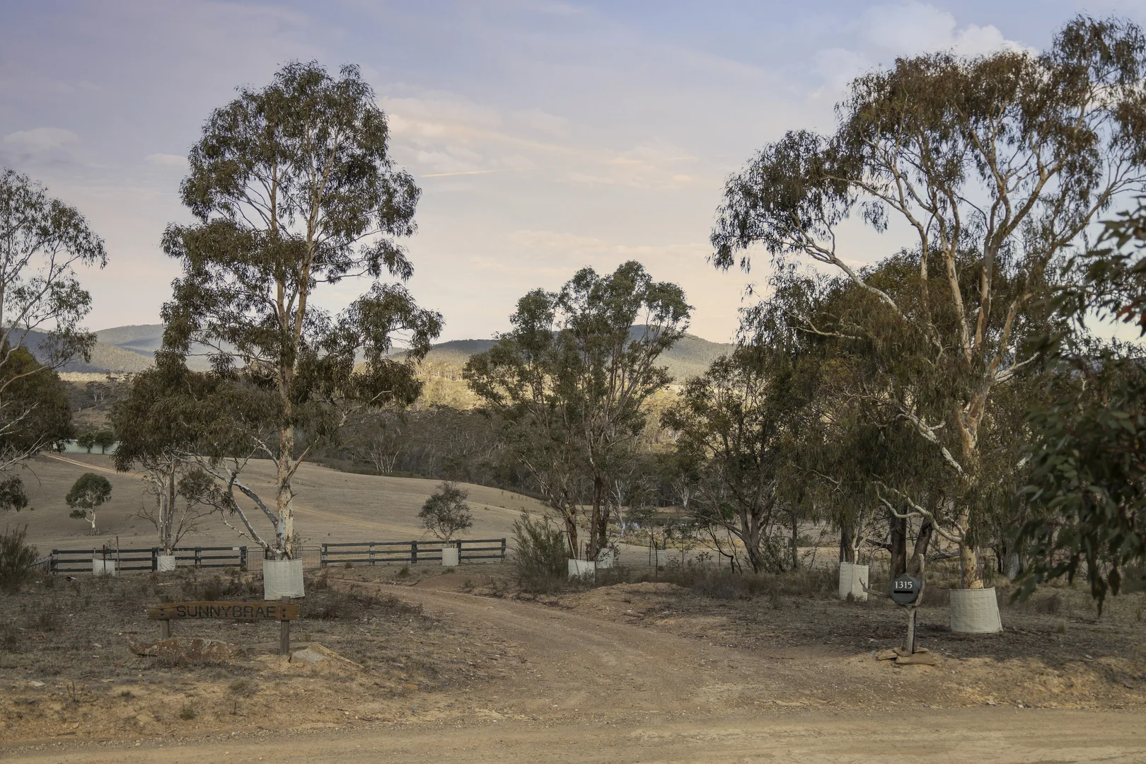 Image 31
