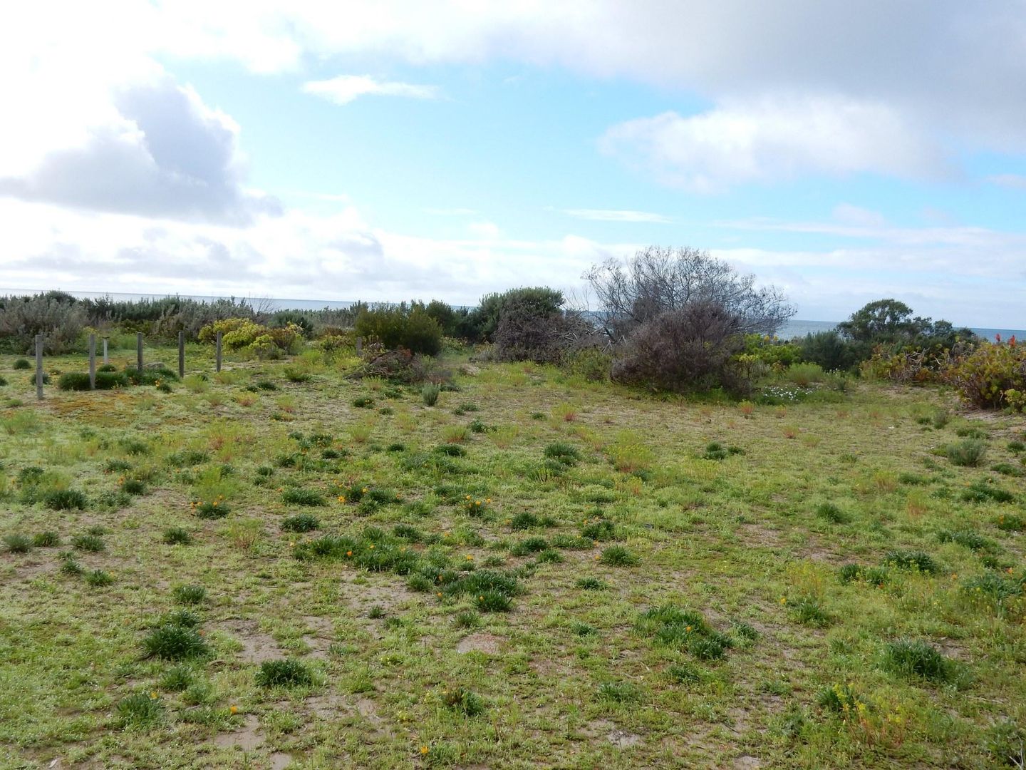 Lot 9 Diosma Drive, Foul Bay SA 5577, Image 2