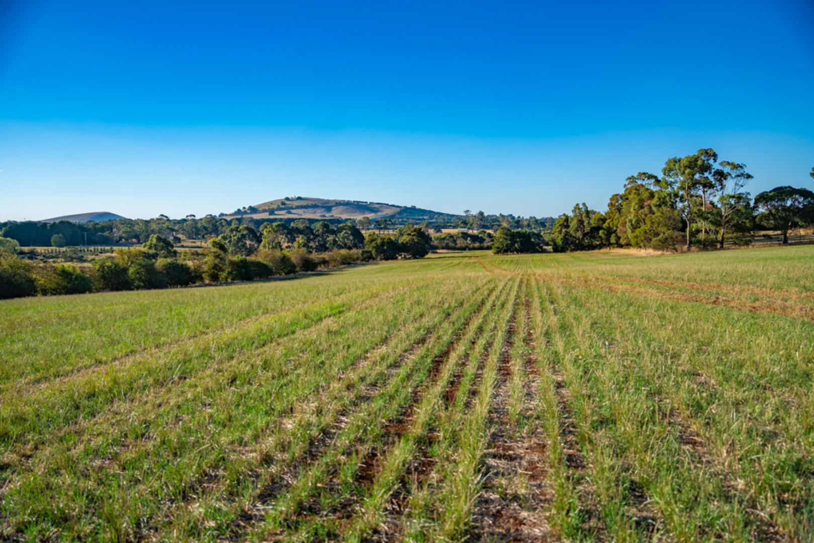 Additional image 17 of 180 Sharpes Road, Miners Rest VIC 3352
