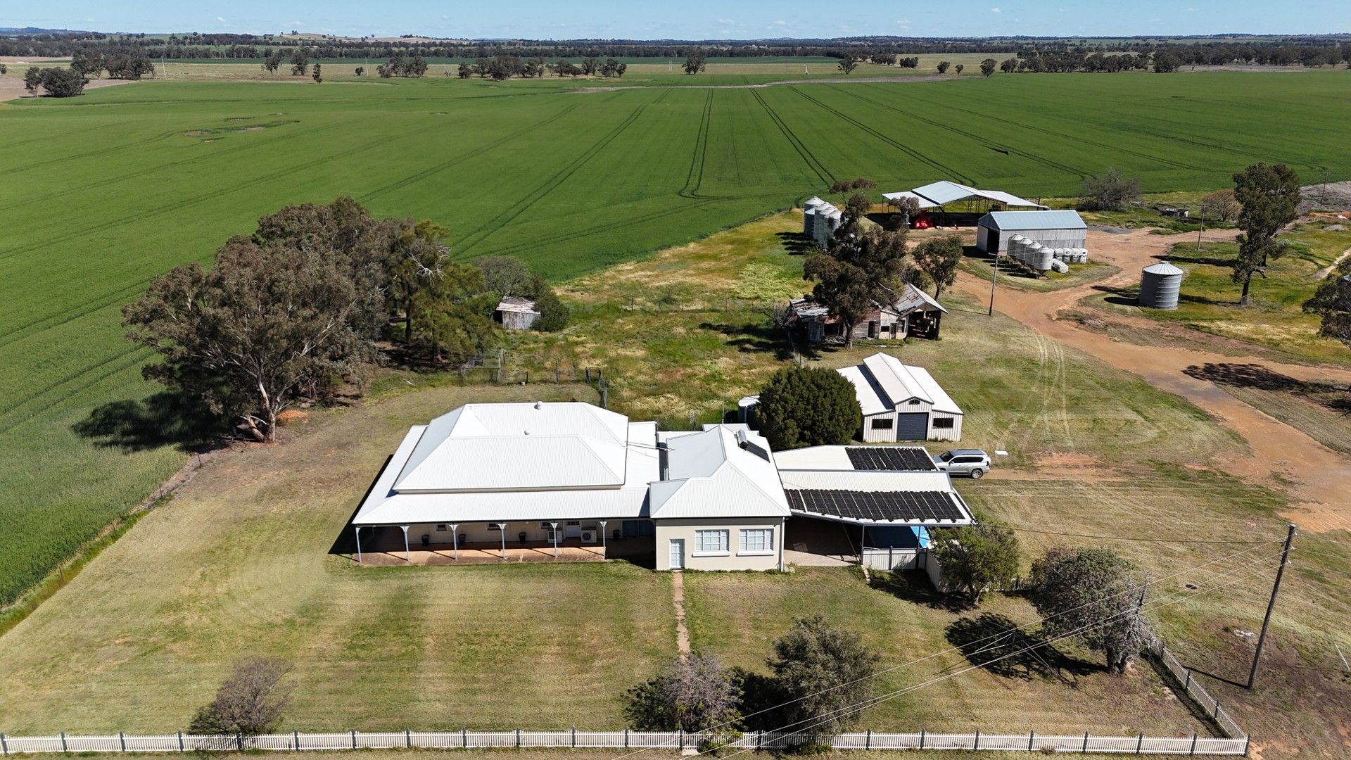 4 bedrooms Specialist Farm in 861 Kadina Road ALECTOWN NSW, 2870