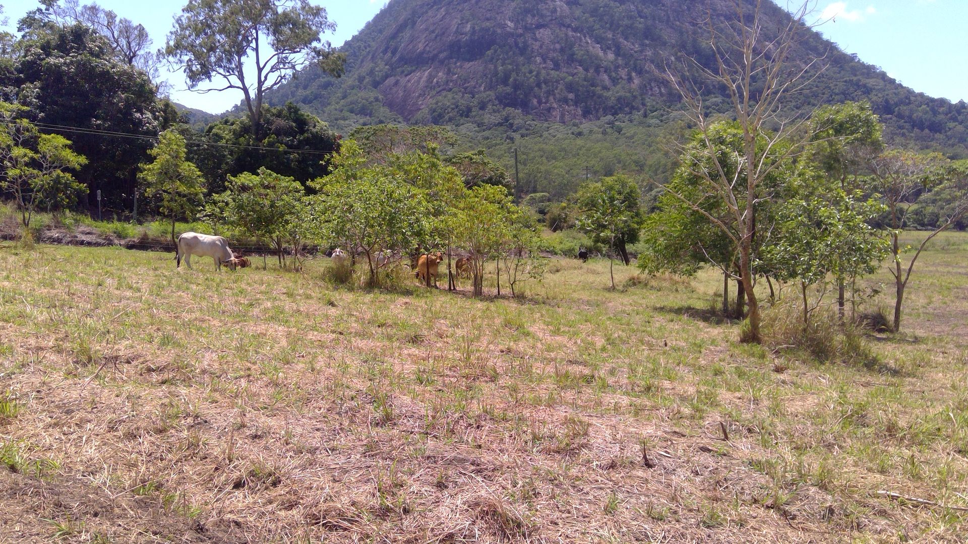 Lot 2 Kuttabul-Mt Jukes Road, Mount Jukes QLD 4740, Image 2