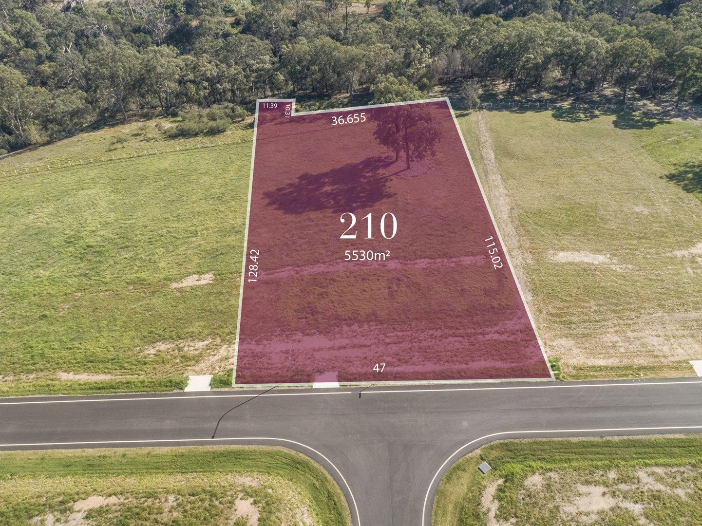 LOT 210 52 The Acres Way | The Acres, Tahmoor NSW 2573, Image 0