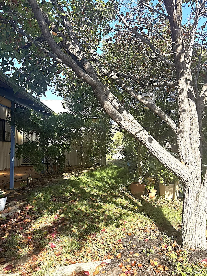 Additional image 31 of 4 Ellery Place, Toodyay WA 6566