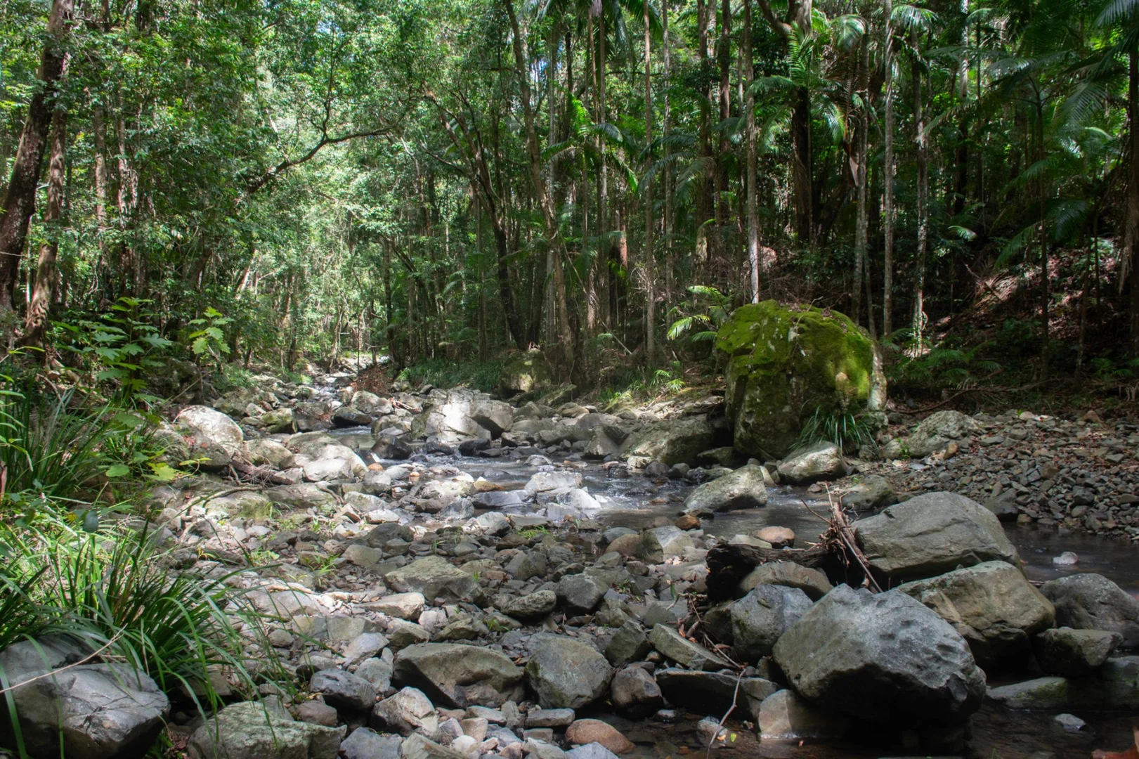 Additional image 32 of 1980 Maleny Stanley River Road, Booroobin QLD 4552