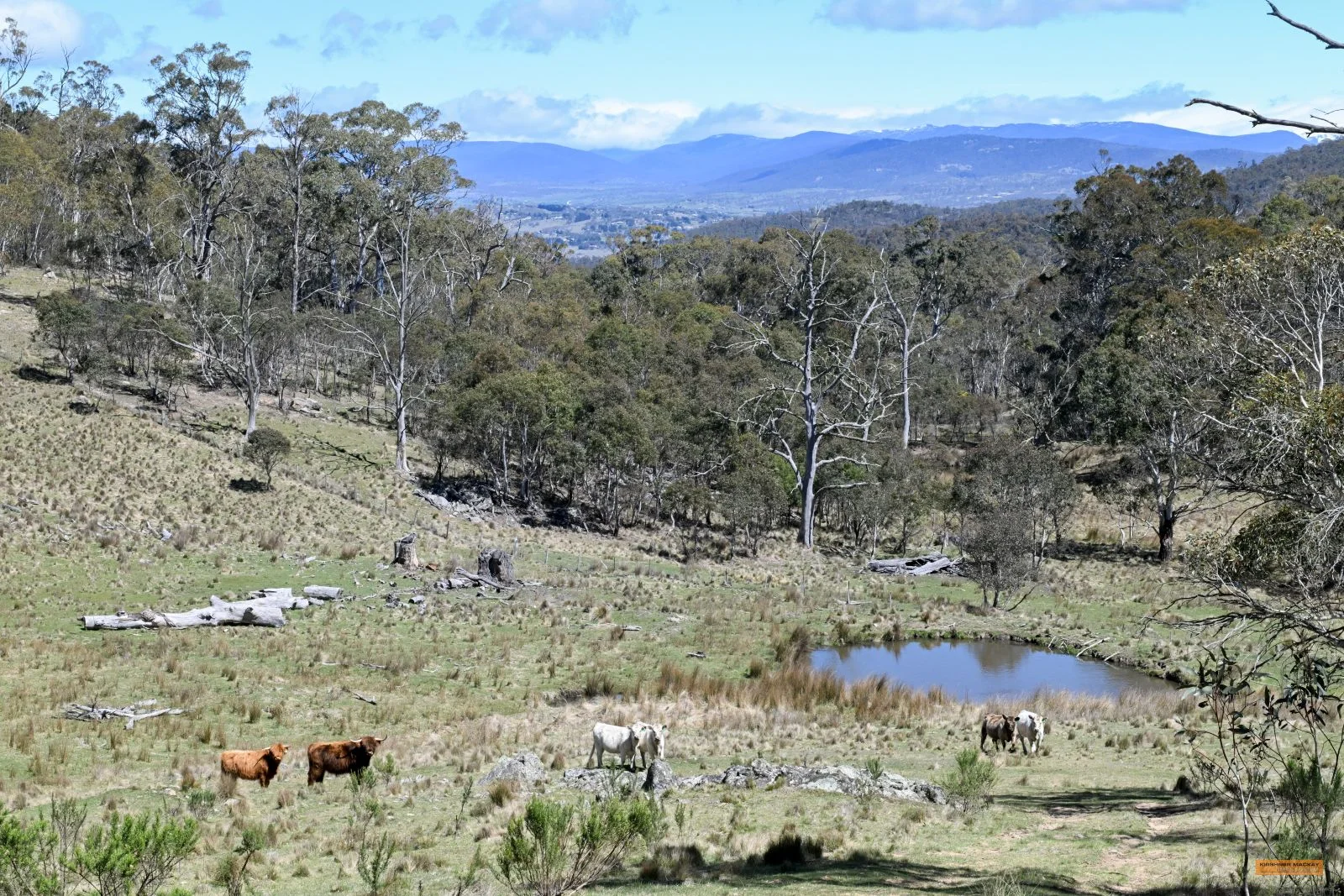 Image 14