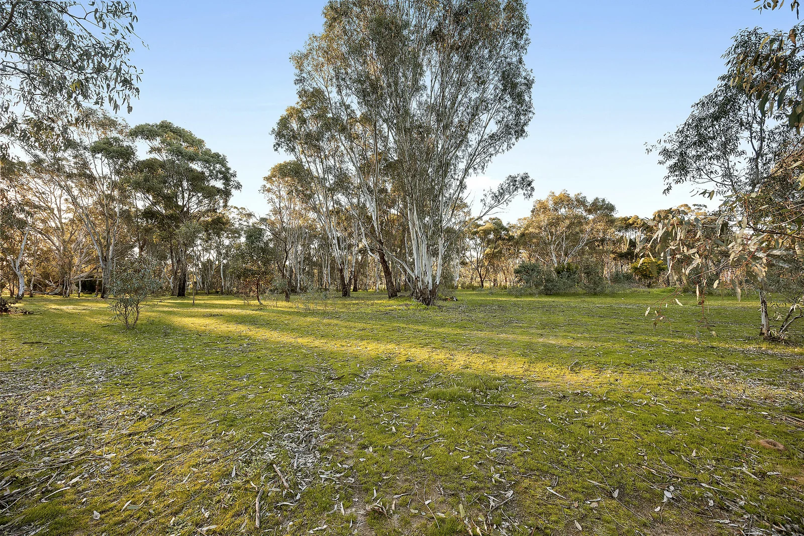 Image 9