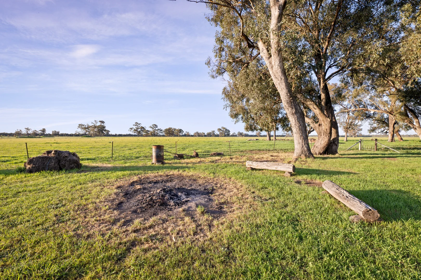 Image 10
