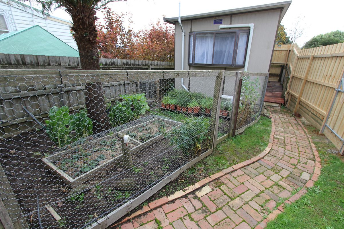 1 bedrooms Apartment / Unit / Flat in 25B Couper Street MIRBOO NORTH VIC, 3871