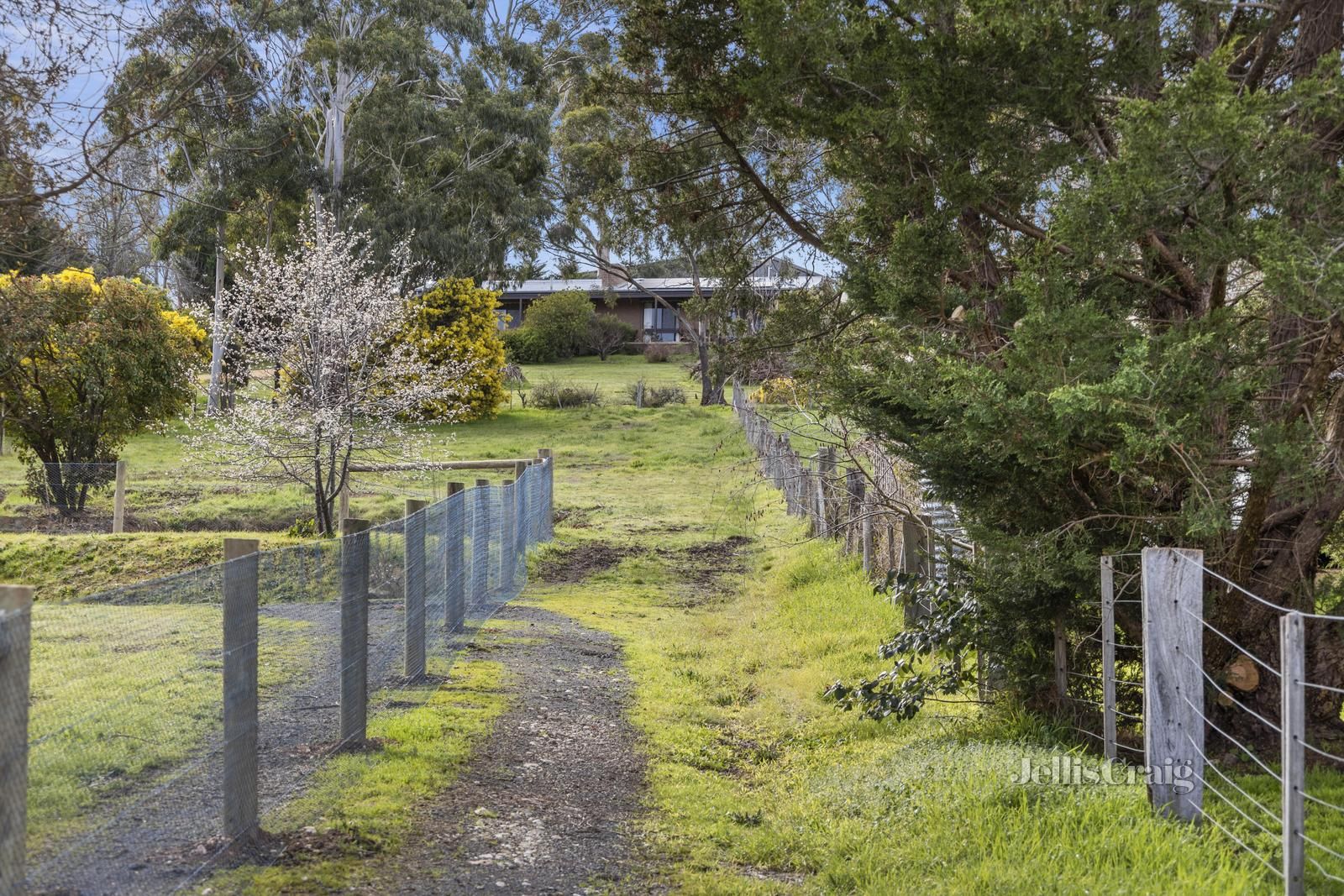 Vacant land in Lot 2, 19 Moscript Street, CAMPBELLS CREEK VIC, 3451