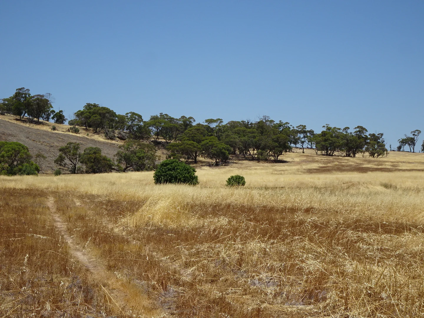 Image 21