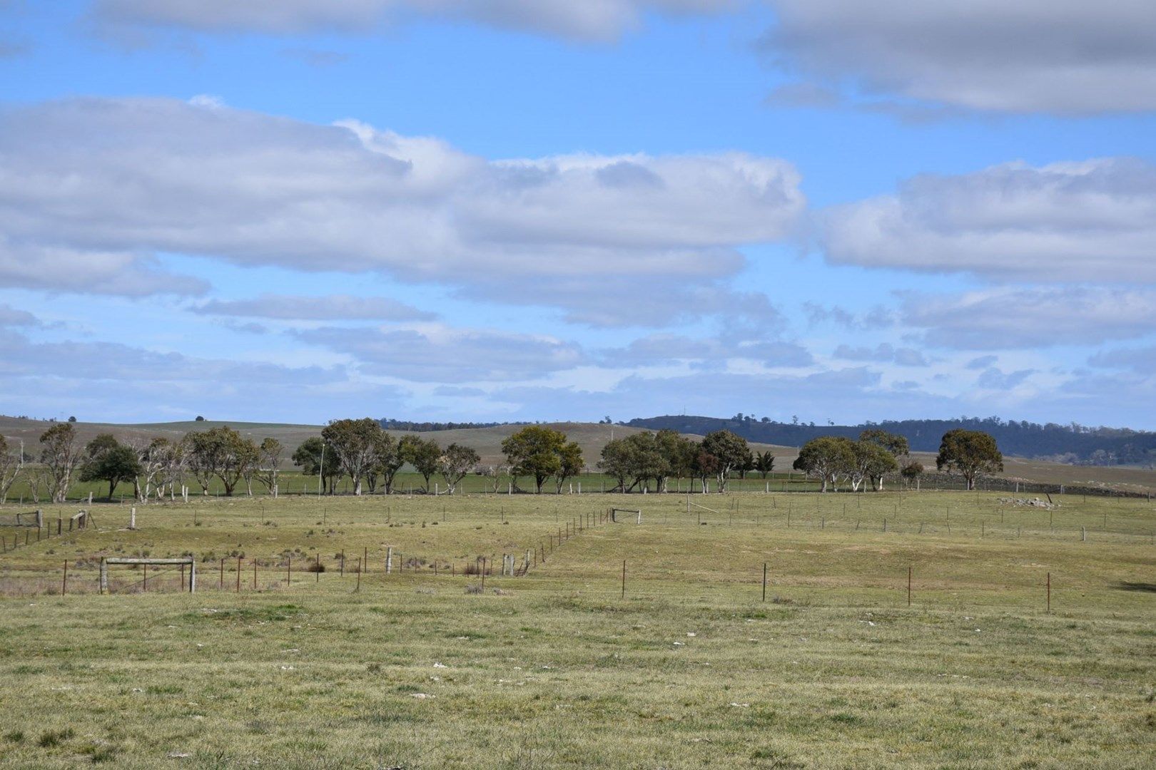 4-5 Evans Street, Bibbenluke NSW 2632, Image 0