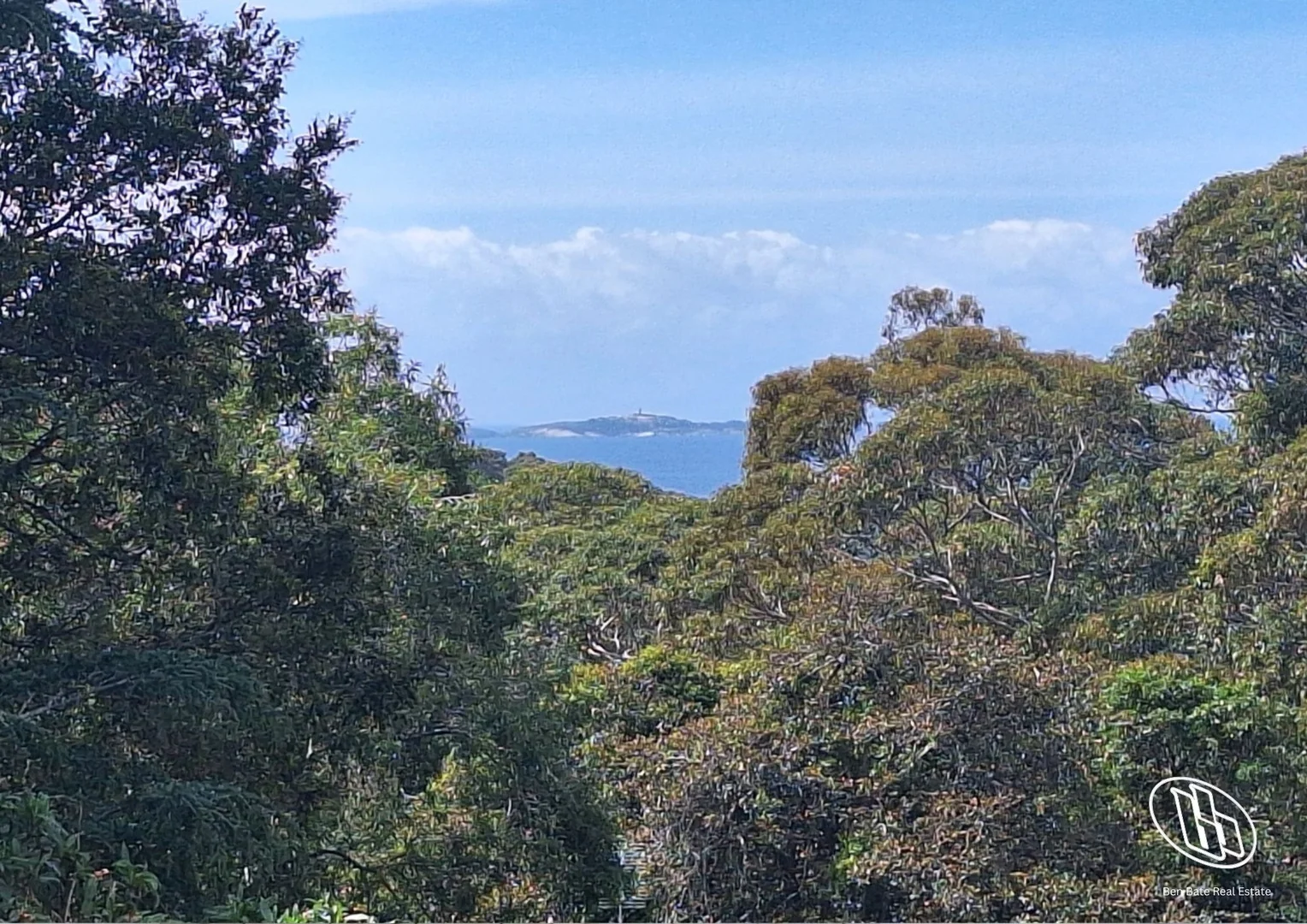 Image 15