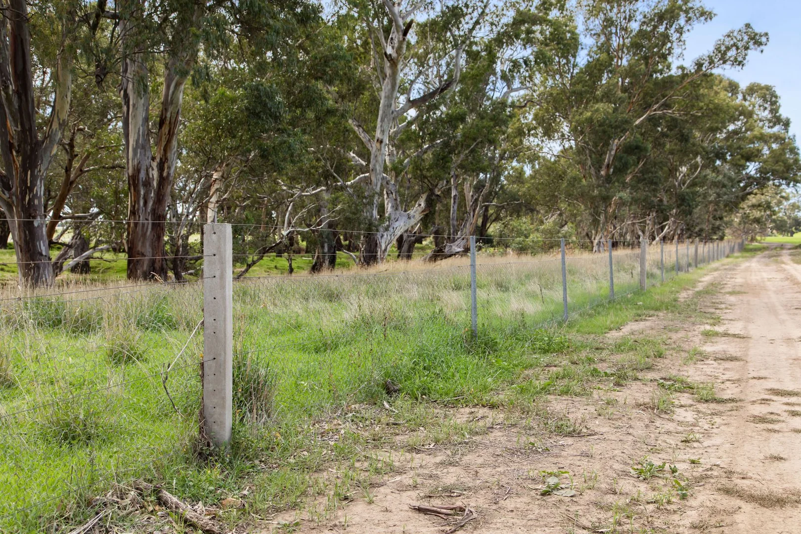 Additional image 11 of Lot 2 Barnadown-Knowsley Road, Muskerry VIC 3557