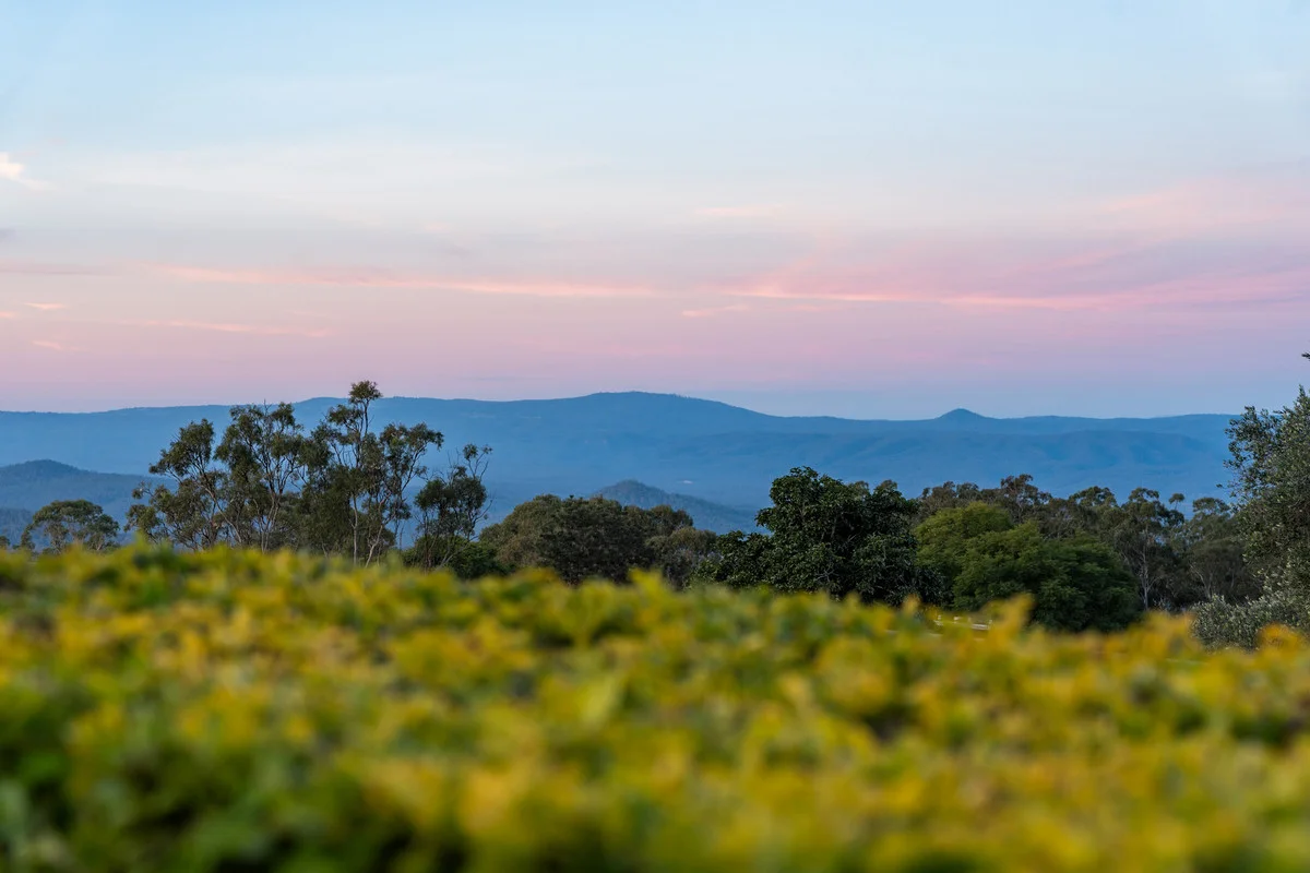 Additional image 8 of 12 Wooldridge Street, Mount Lofty QLD 4350