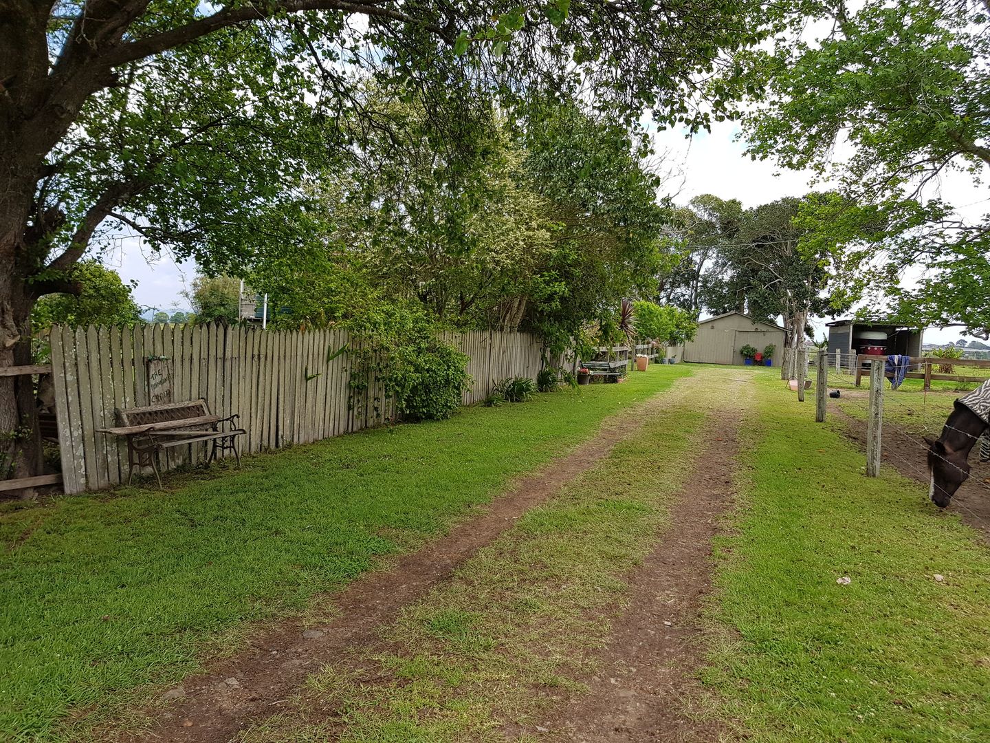 411 South West Rocks Road, Pola Creek NSW 2440, Image 2