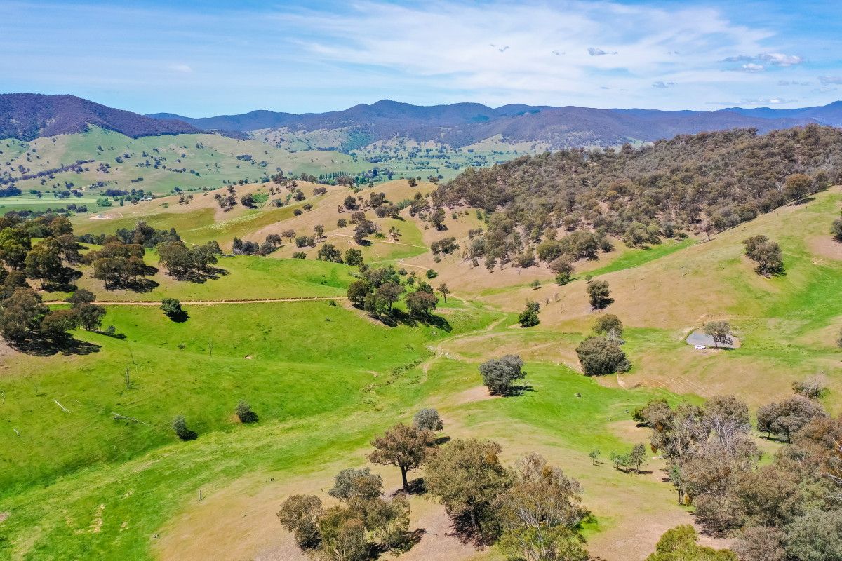 356 Soldier Settlers Road, Tallangatta Valley VIC 3701, Image 1